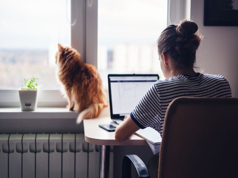 Photo of woman working from home