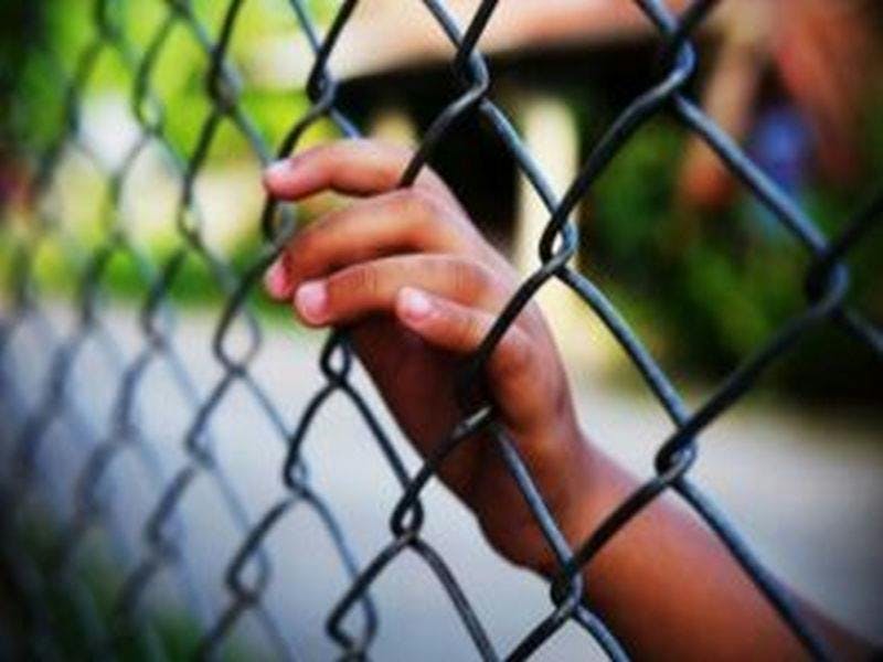 Childs hand holding on wire fencing