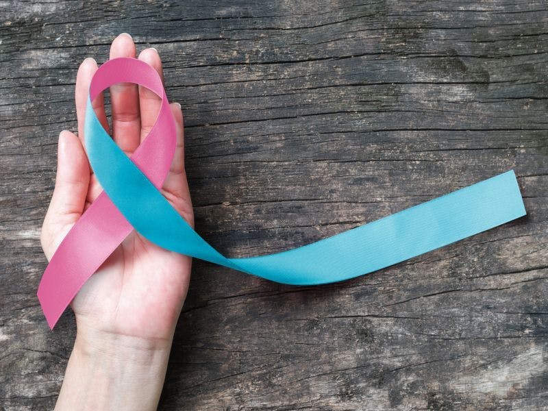 Image of a ribbon in shades of blue and pink.