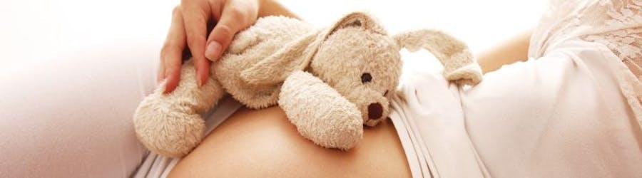 pregnant woman with teddy